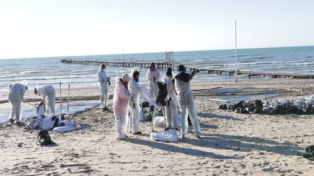 В Керченском проливе продолжаются работы по уст...