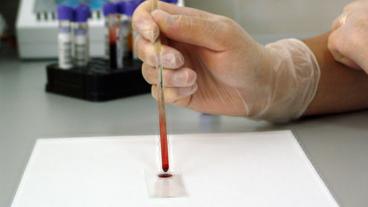 Международная группа исследователей разработала...