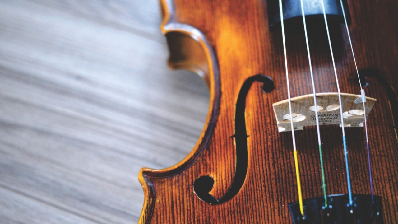 Международное исследование годичных колец на ск...