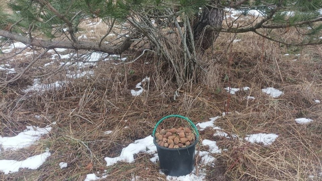 В Крыму начался важный этап подготовки к весенн...