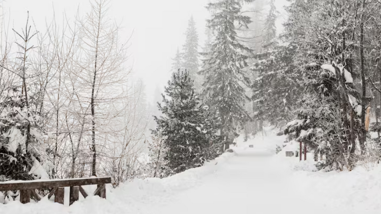 Зима в Москве задерживается: когда ждать снег и...