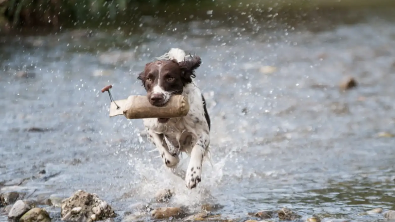 В США расследование убийства продвинулось благо...