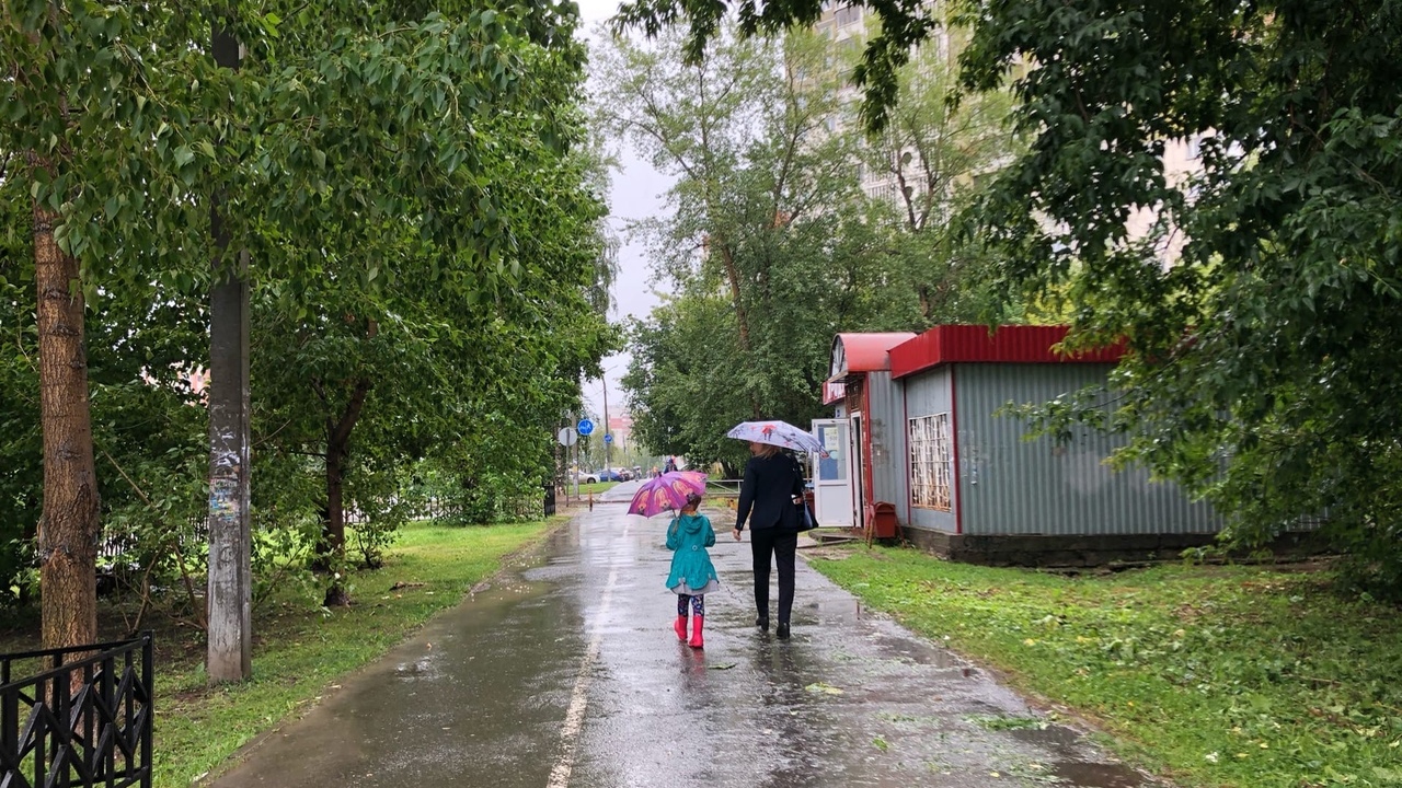 Окажутся на тропе везения: Глоба назвала 2 знак...