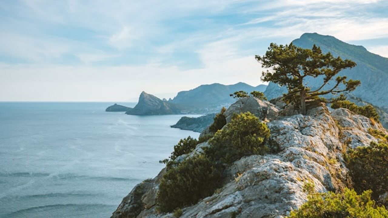 Сухогруз «Волго-Балт», перевозивший пшеницу, по...
