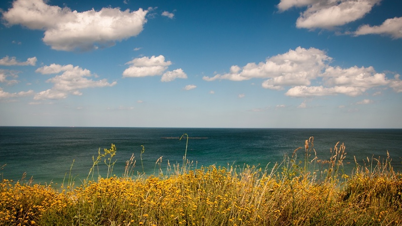 Переезд к морю часто рассматривается как шанс н...
