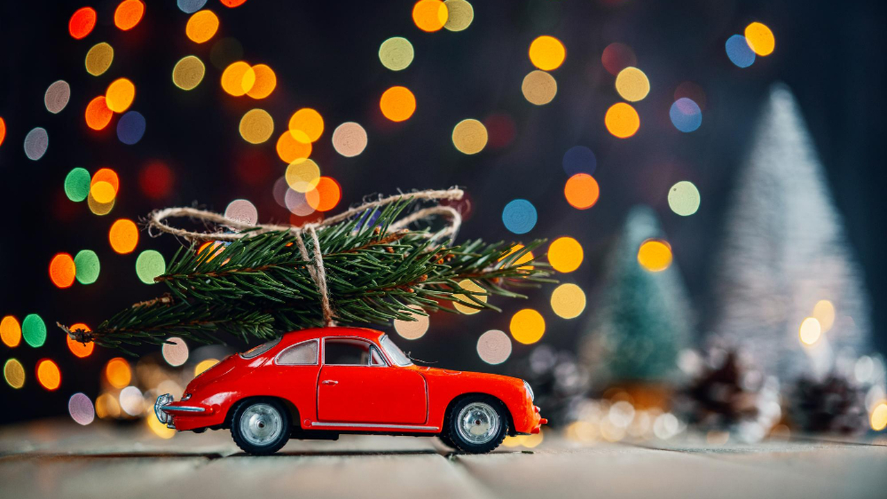 Перевозка ели на своей машине может привести к штрафу: праздничное настроение на нуле – автовладельцы в шоке Приближение новогодних праздников часто сопрово...