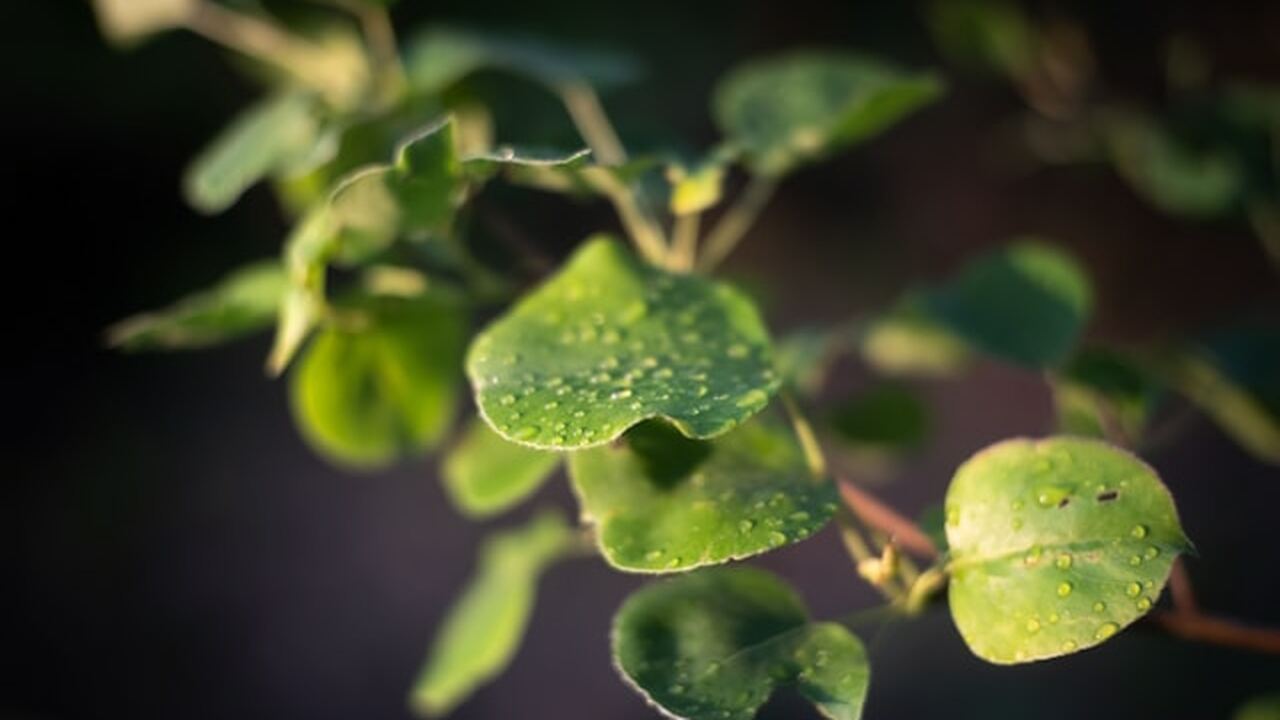 В России в мае ожидаются нестандартные погодные...