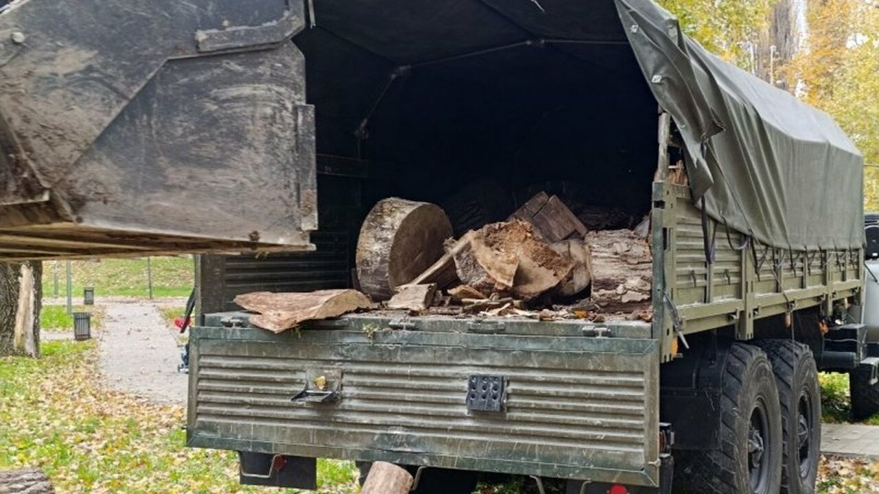 Симферопольские парки поддержали фронт тоннами дров для бойцов Симферополь продолжает оказывать поддержку воен...