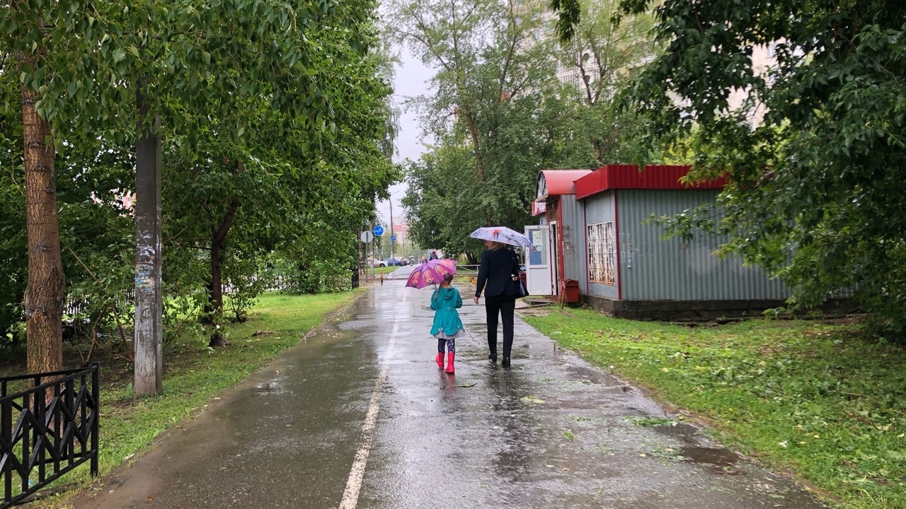 В предаче одного из федеральных телеканалов был...