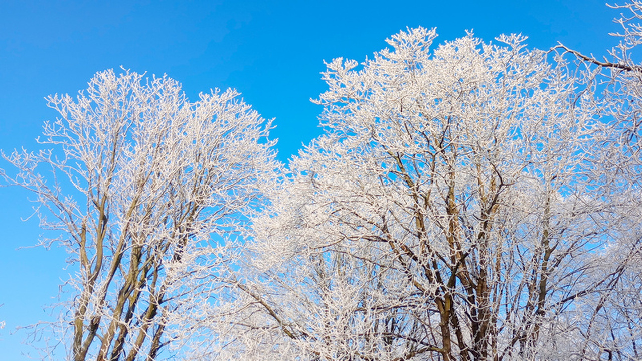 С 16 января жителей европейской территории Росс...