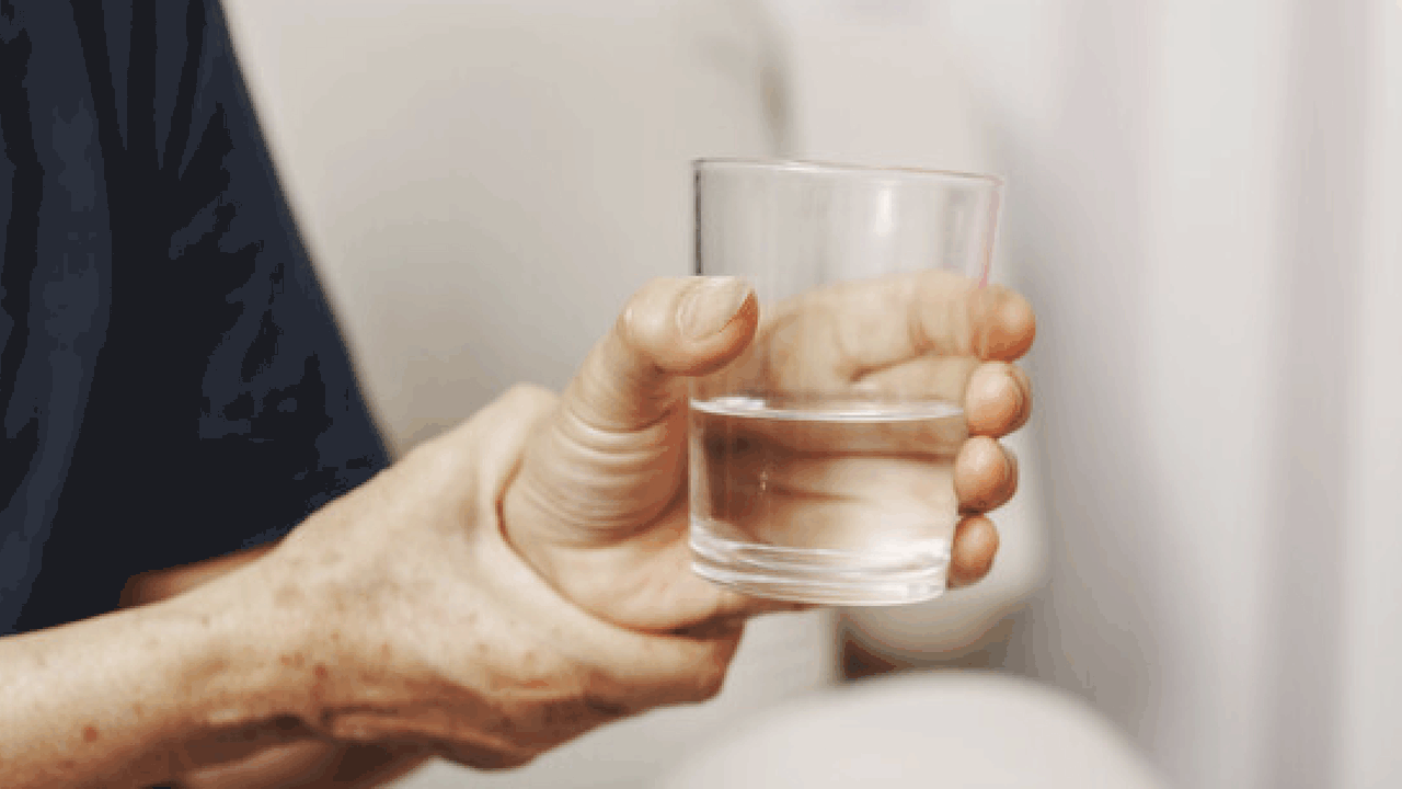 Учёные из Оклендского университета выявили скры...