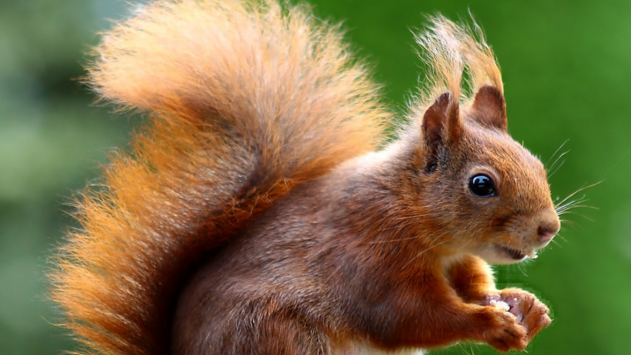 Семья из американского штата Флорида лишилась д...