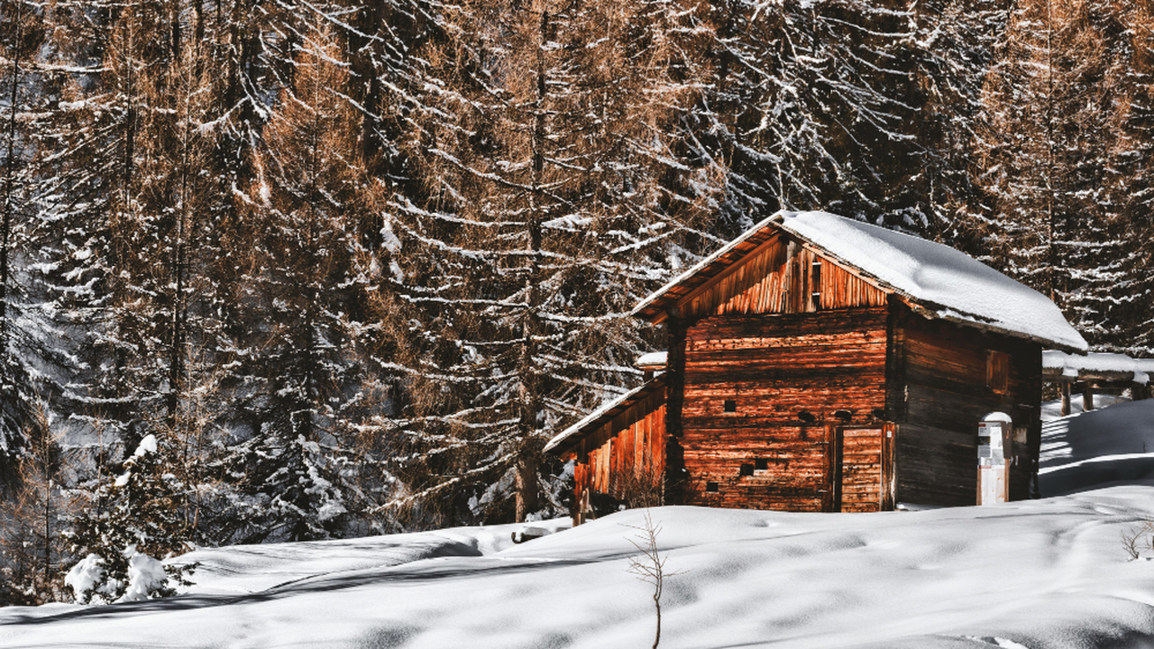 Зимний визит на дачу в СНТ «Энергетик» обернулс...