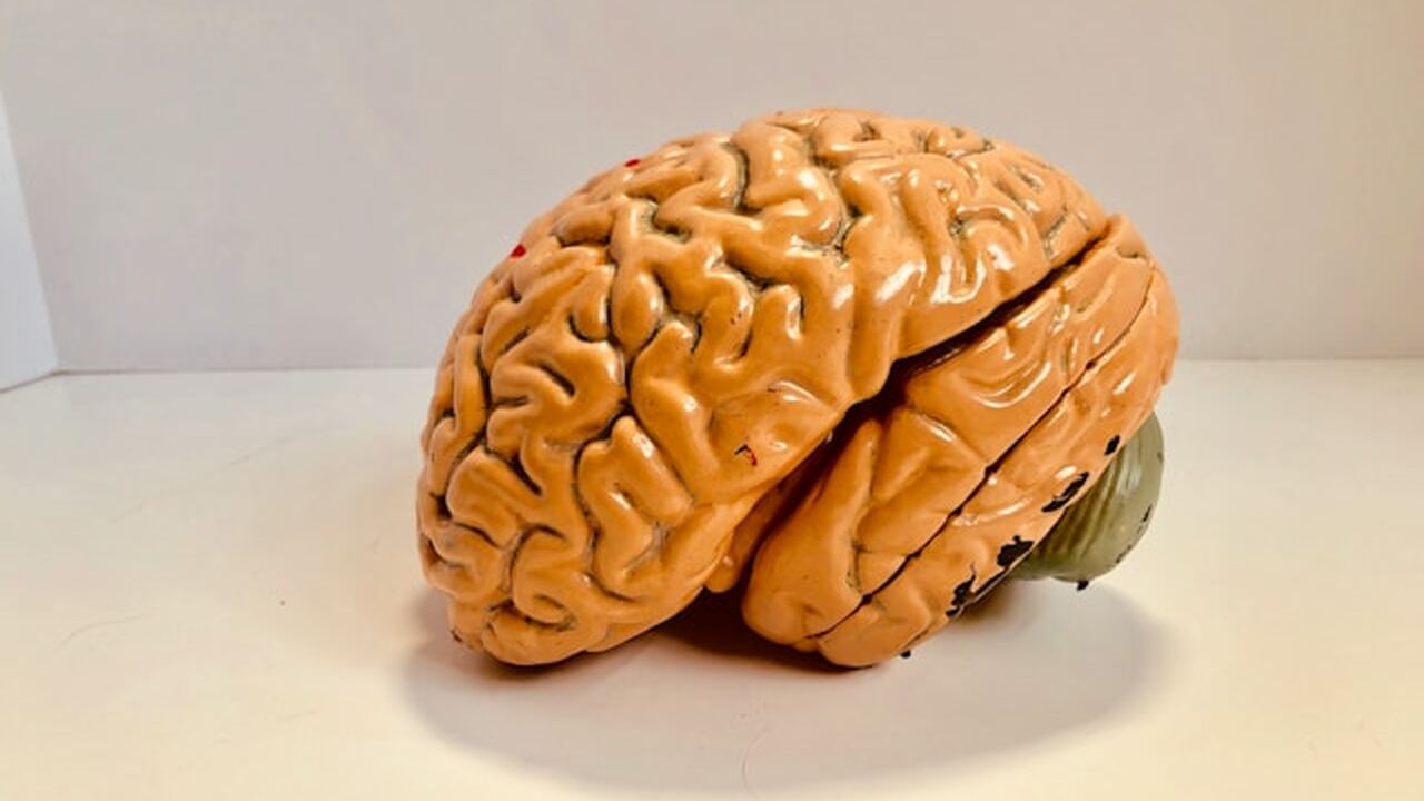 Исследователи из Пенсильванского университета р...