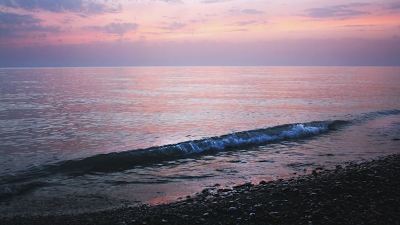 Учёные сообщили о перспективах использования мо...