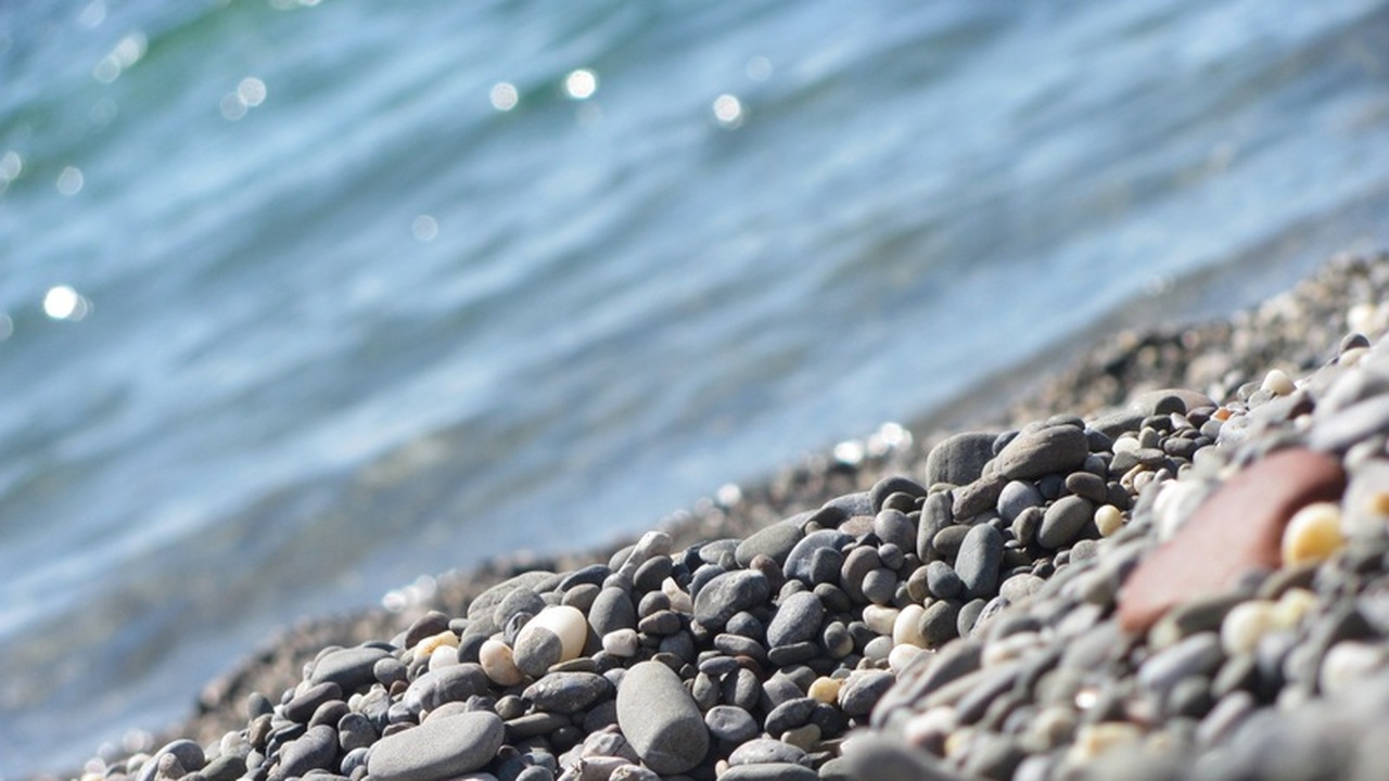 В минувшие выходные на набережной Ялты состояли...