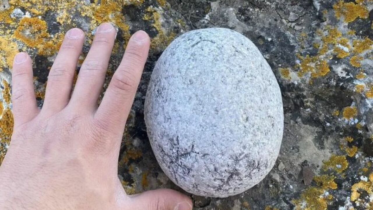 В Симферополе появилось необычное предложение н...