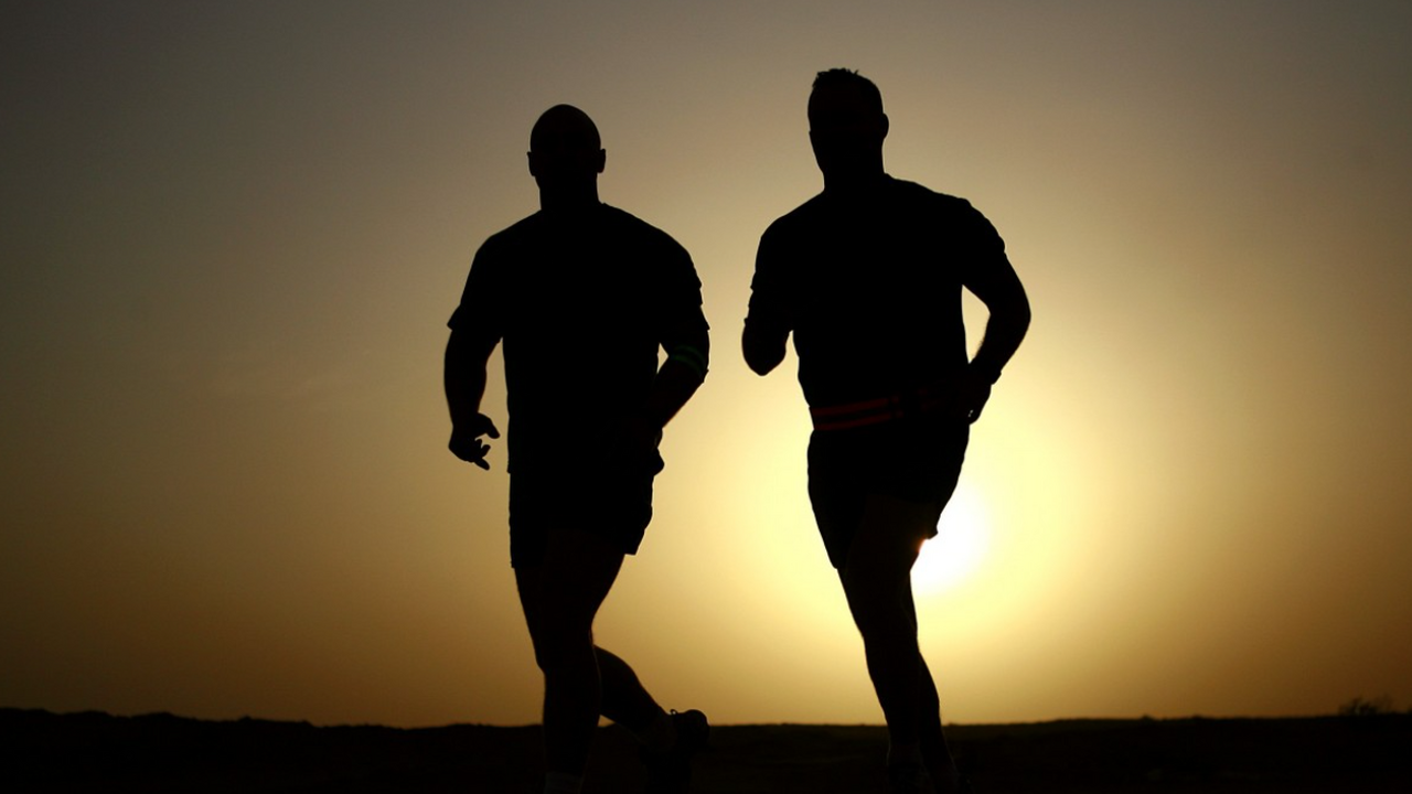 Ученые установили, что бег может вернуть ловкость мышцам Американские учёные экспериментально доказали, ...