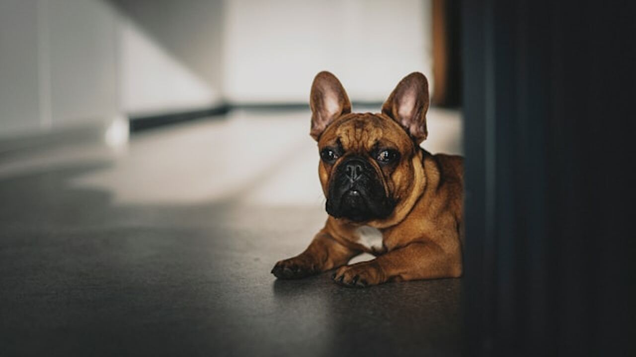 На одном из пляжей в Шотландии случайная находк...