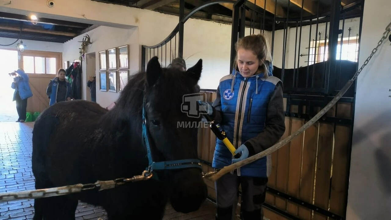 В Бахчисарайском районе Республики Крым проводи...