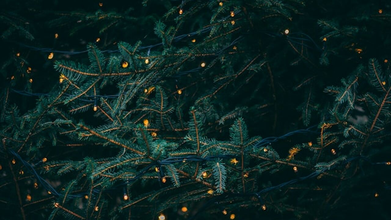 В России обсуждают перераспределение выходных: часть январских каникул предлагают перенести на май В стране вновь поднят вопрос о возможной коррек...