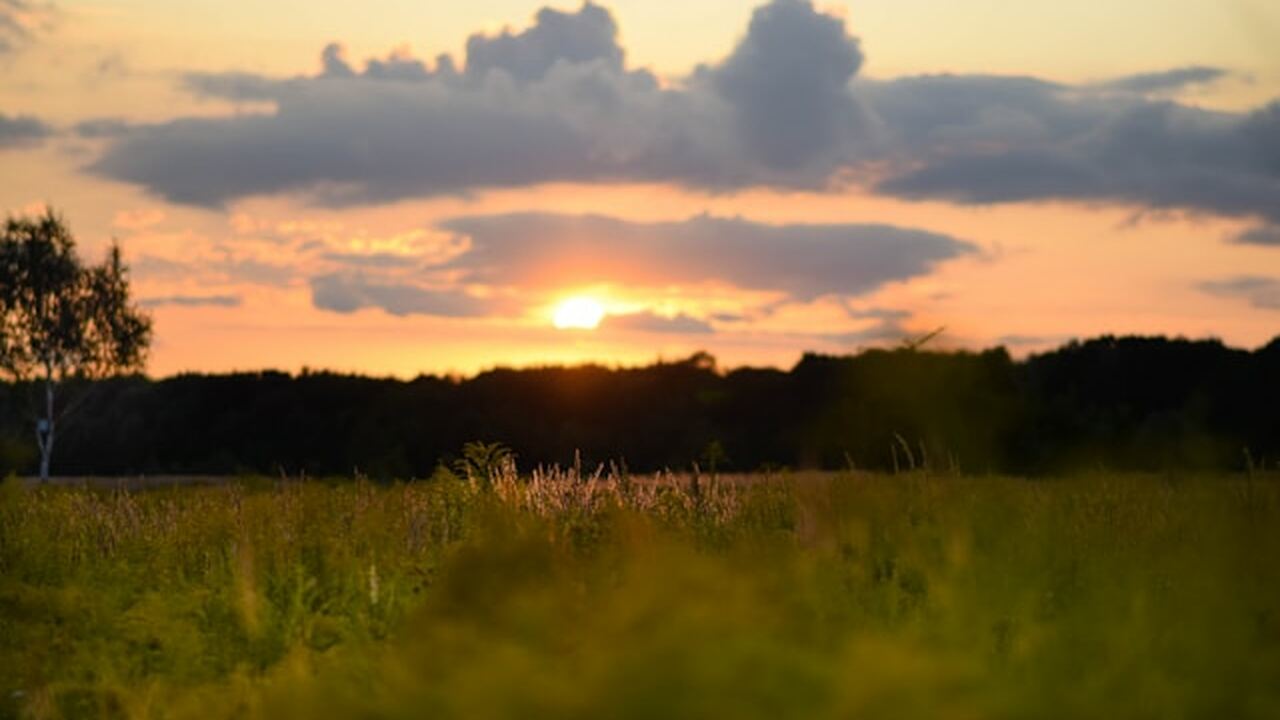 Метеорологи отмечают, что предстоящий летний се...