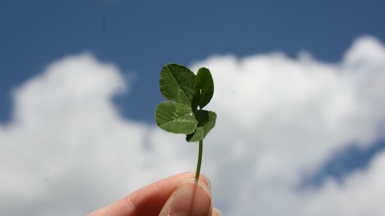 Астрологи прогнозируют, что в 2026 году семь зн...