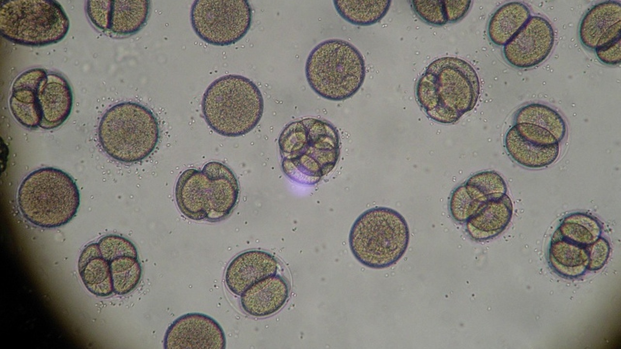 Специалисты Национального исследовательского це...