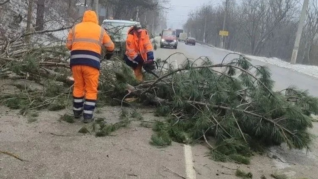 Сильный штормовой ветер стал причиной падения д...