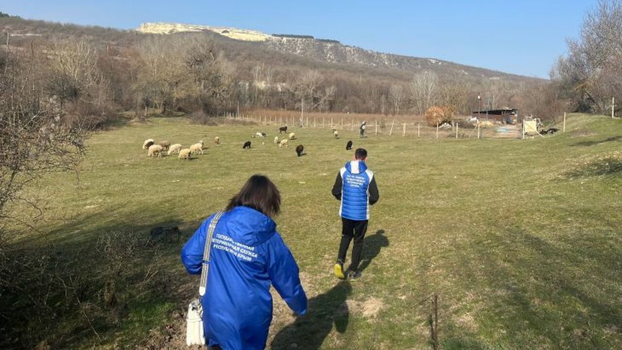 В ходе плановой проверки личных подсобных хозяй...