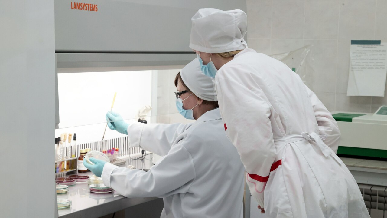 С 2015 года молодые учёные Крыма получили 120 г...