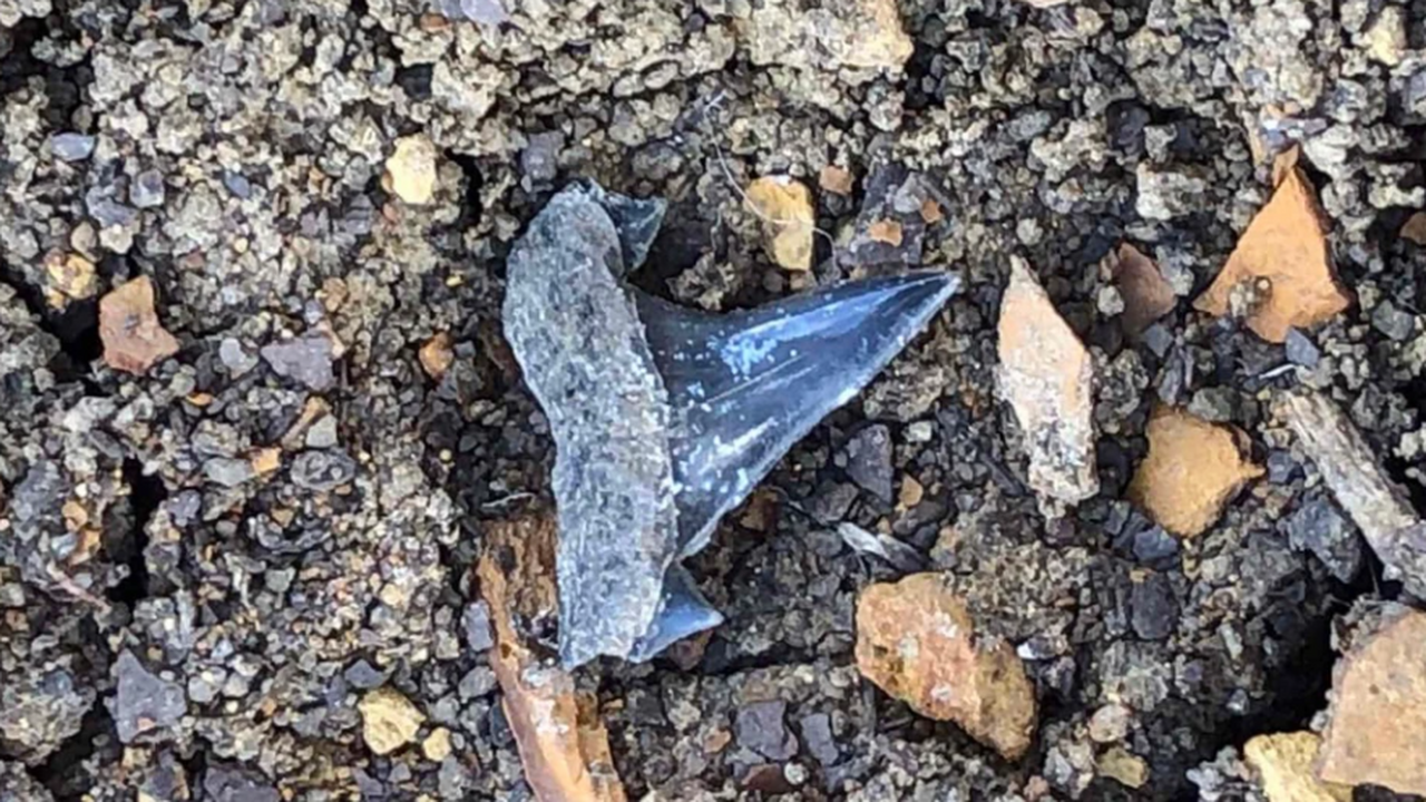 На вершине Белой скалы Ак-Кая в Крыму обнаружил...