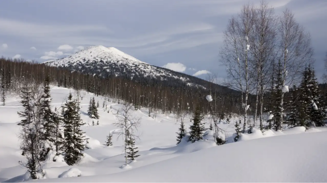 В Сибири обнаружили участок, где полностью исчезает звук В сибирской тайге исследователи выявили участок...