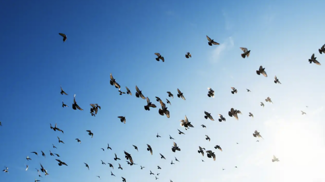 В зоне отчуждения Чернобыльской АЭС специалисты...