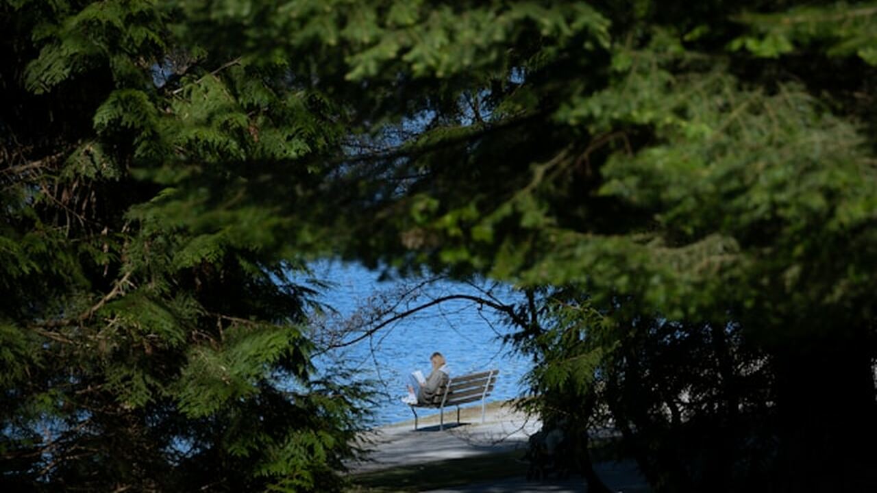 Калифорнийская компания Sabi заявила о разработ...