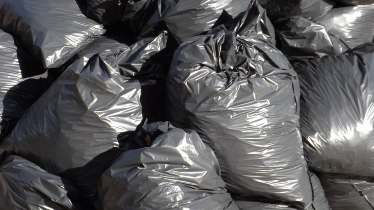 Студенты Севастопольского государственного унив...