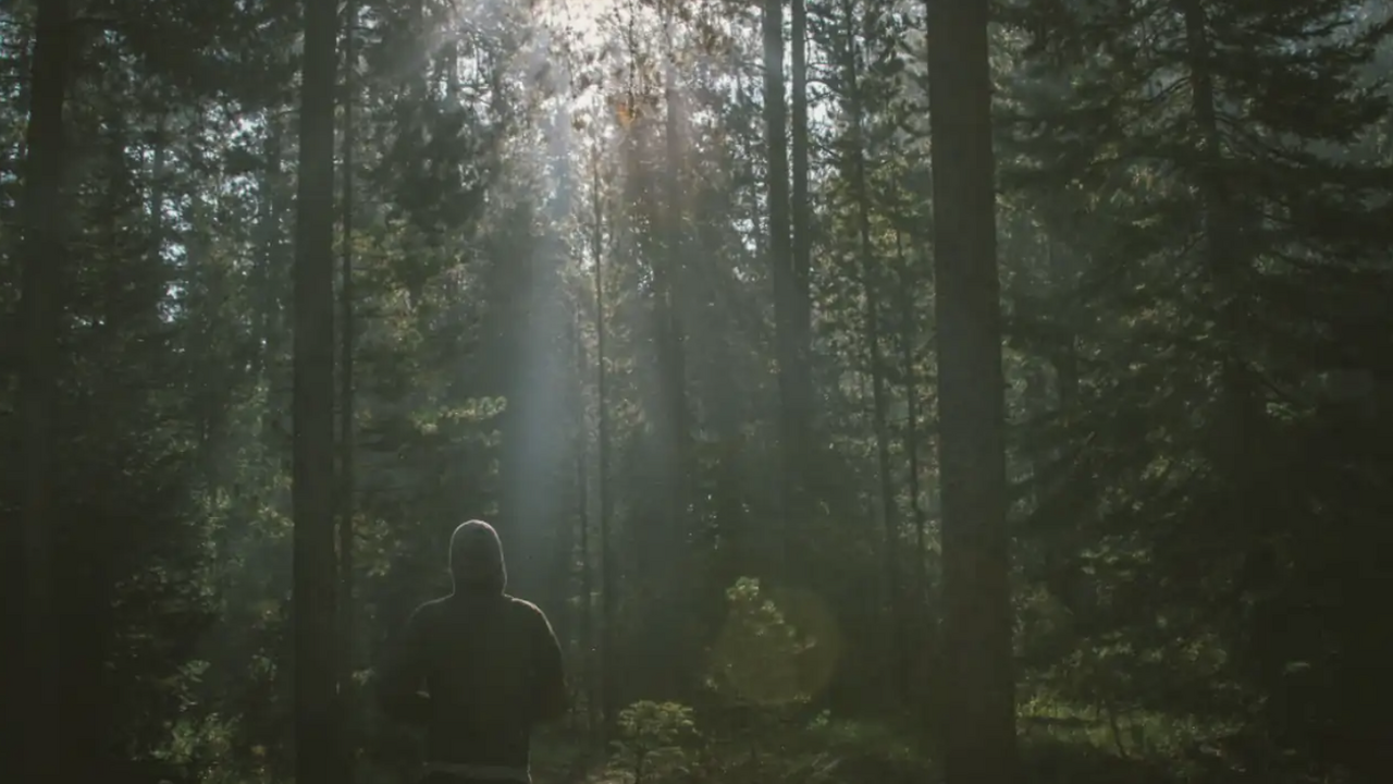 В Пермском крае обнаружена зона с искажением восприятия времени В Молёбской аномальной зоне Пермского края зафи...
