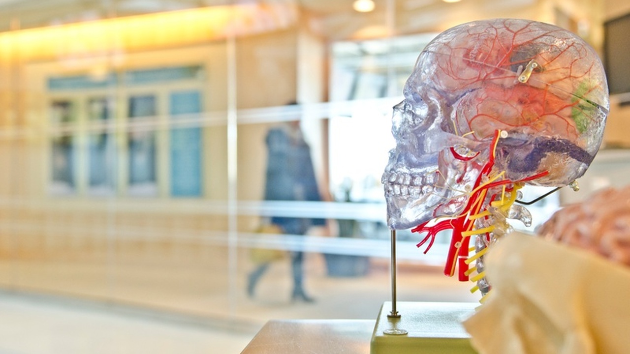 Исследователи из Рочестерского университета про...