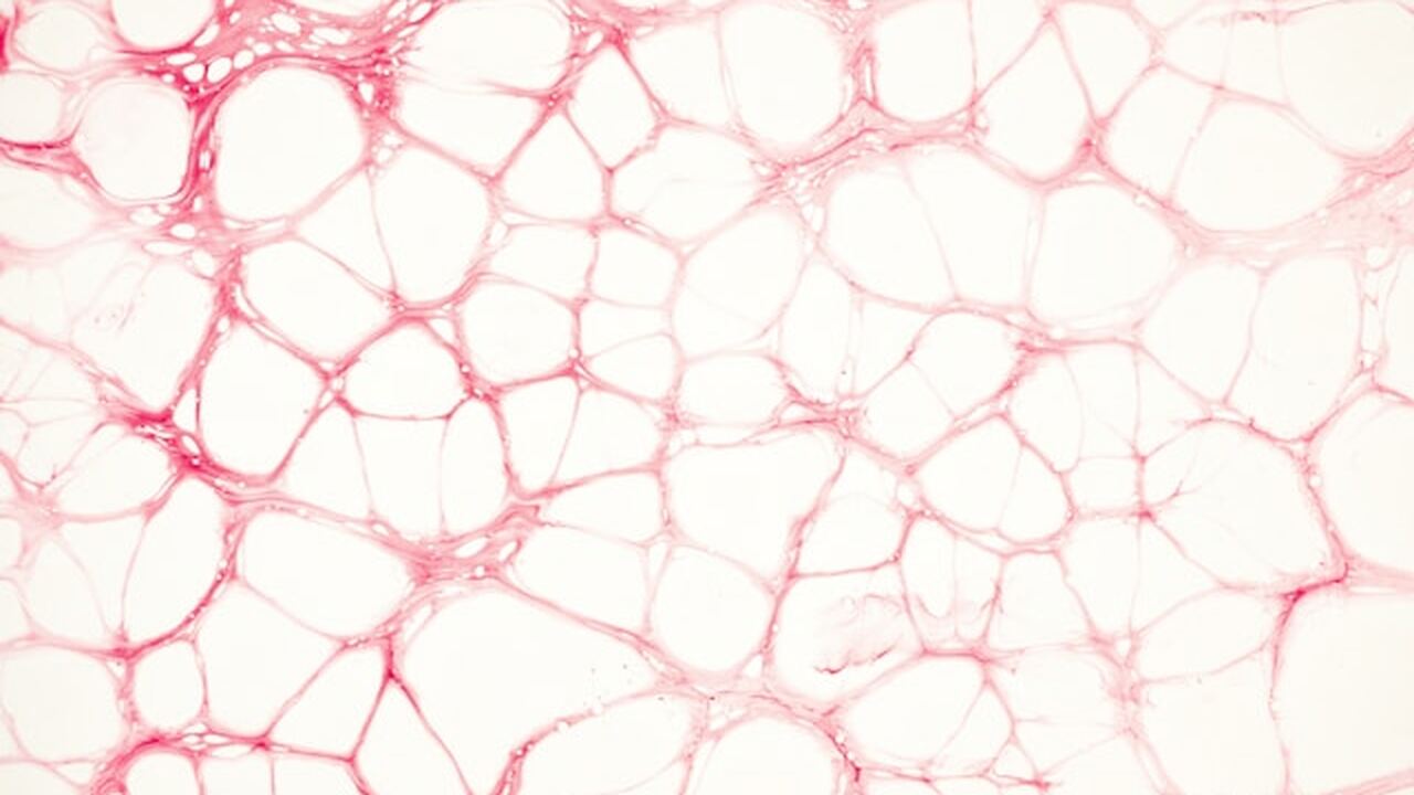 Биологи сообщили о возможности безопасного устр...