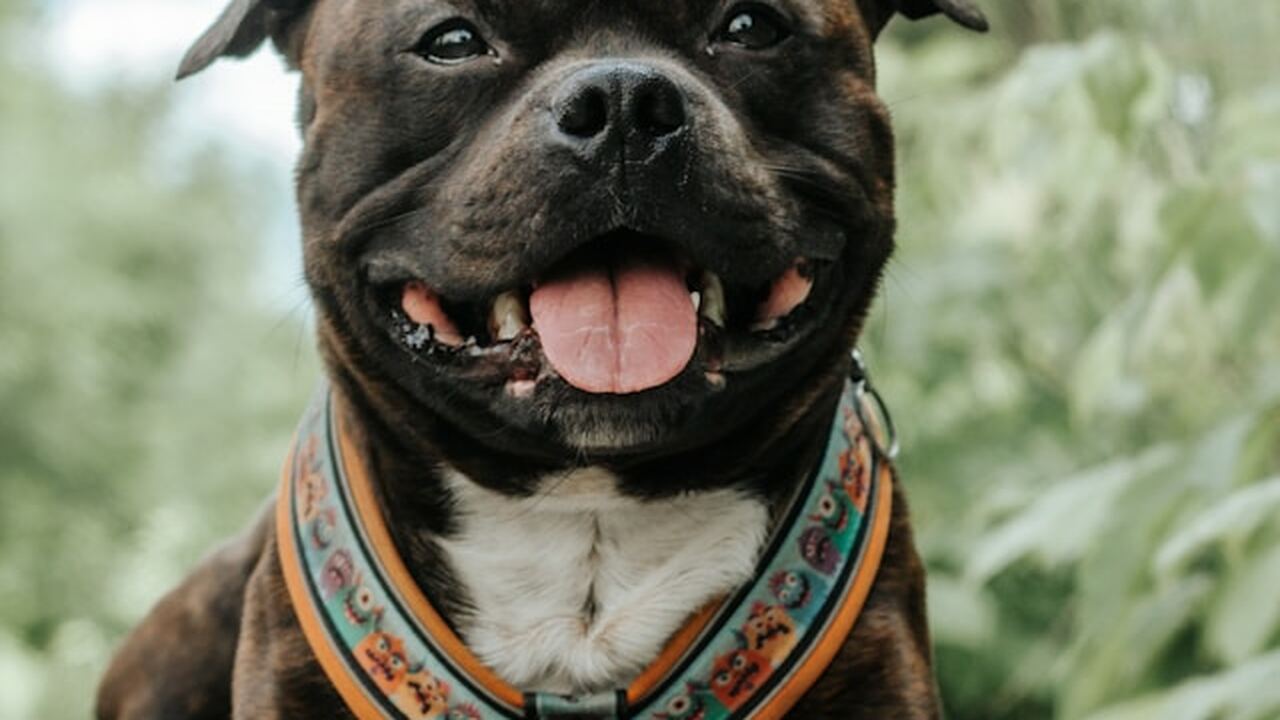 Исследователи из Университета штата Аризона выя...