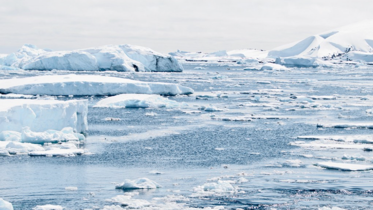 Ученые СПбГУ вместе с международной группой впе...