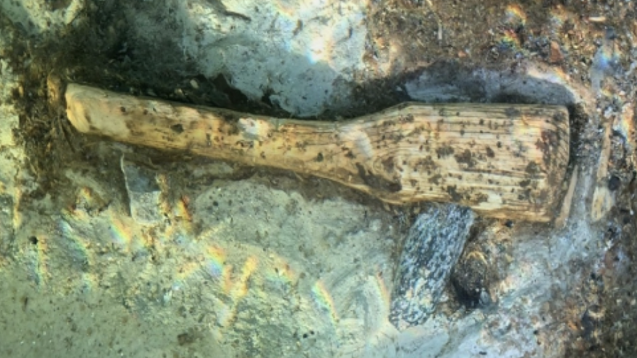 В гавани швейцарской коммуны Штекборн (кантон Т...