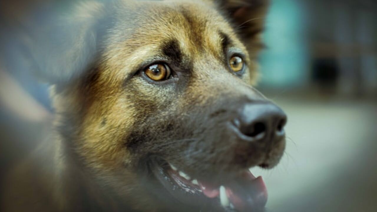 С 1 апреля 2026 года в России начинает действов...