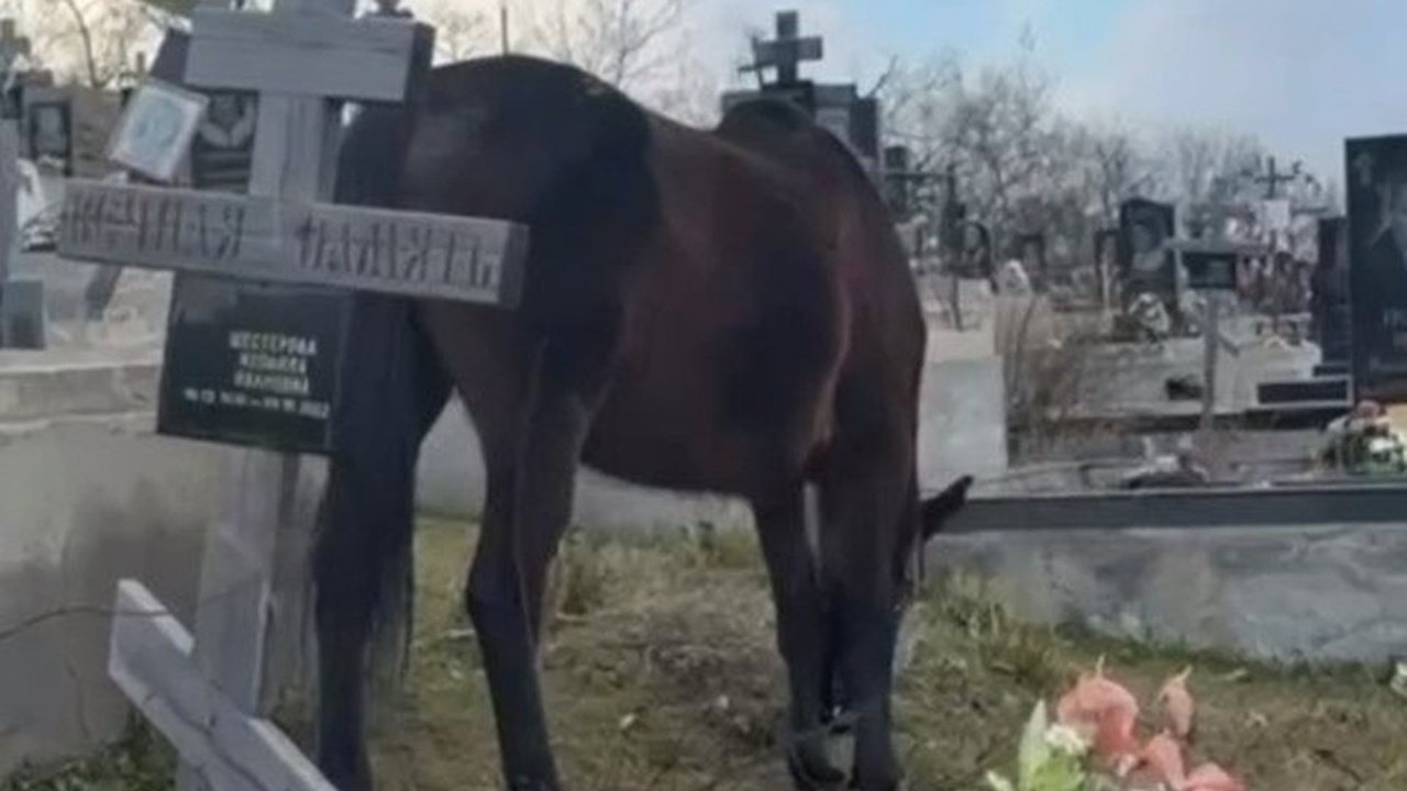 Инцидент на кладбище в селе Запрудное, располож...