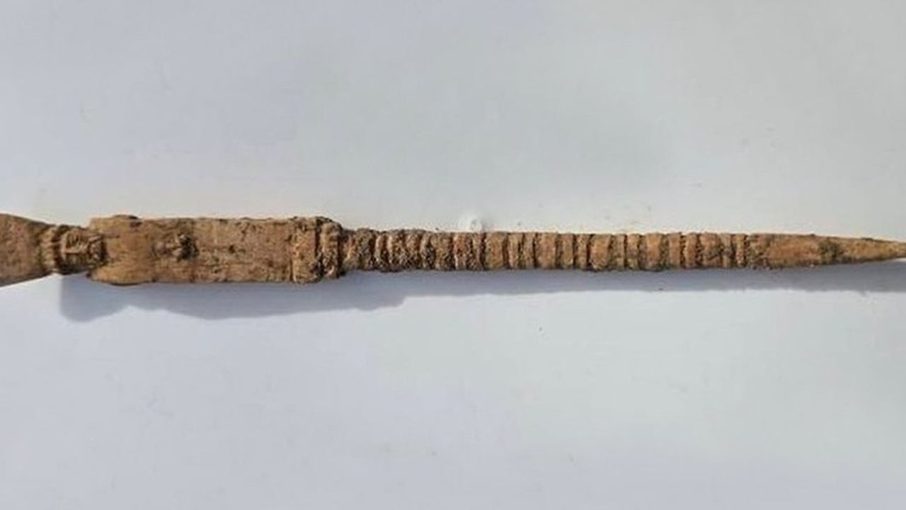 Археологи обнаружили костяную "волшебную палочку" V века до нэ на Сицилии В ходе археологических работ в сицилийском горо...