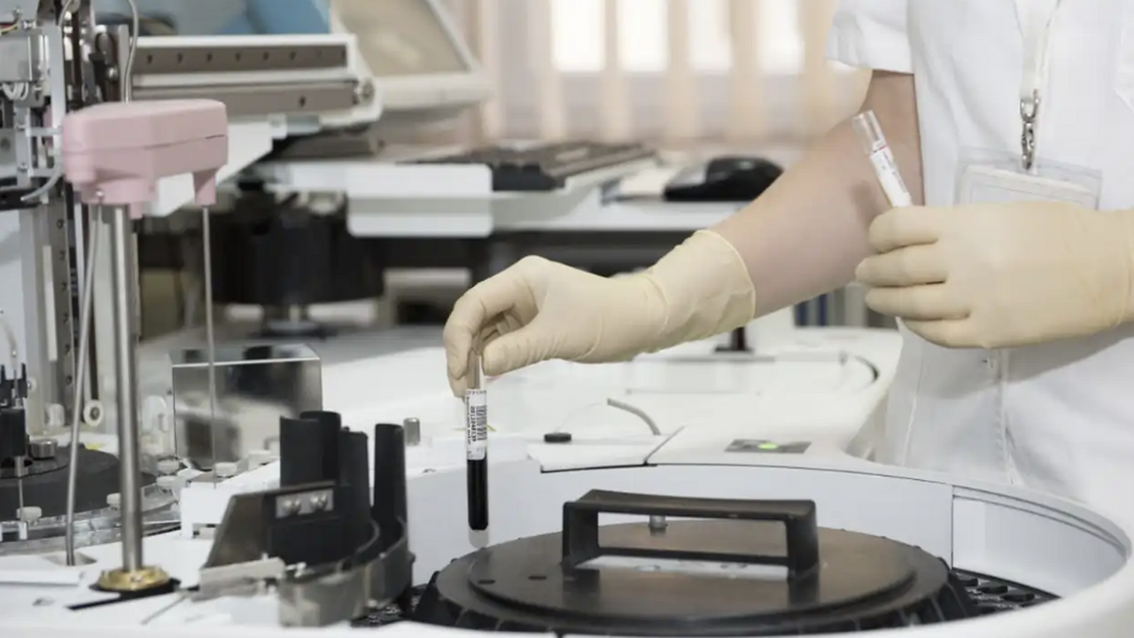 Исследователи сообщили о новом понимании того, ...