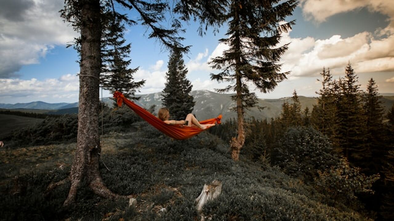 Эксперты в сфере туризма обозначили ряд популяр...