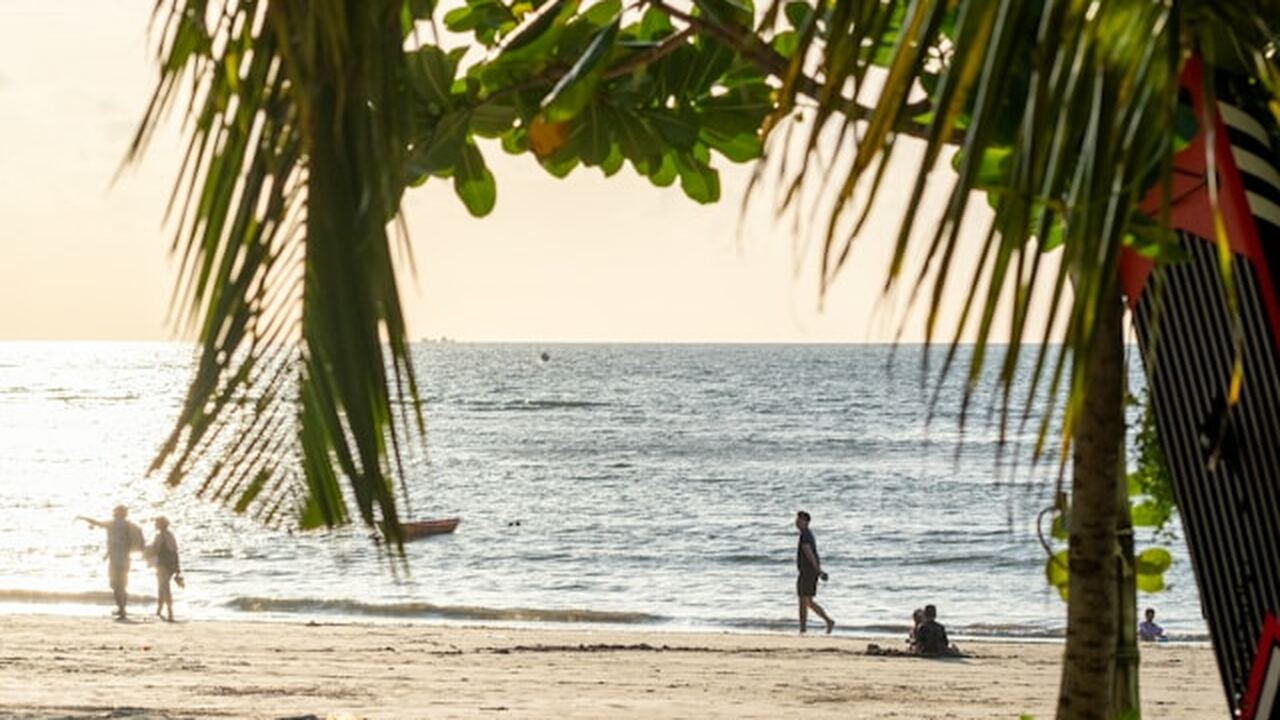 Власти Таиланда планируют ввести новое требован...