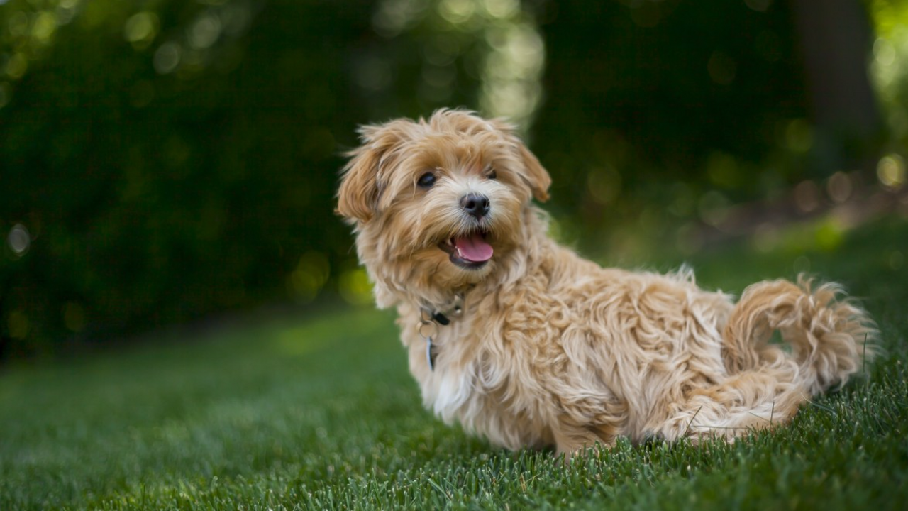 В начале мая европейская часть России столкнётс...