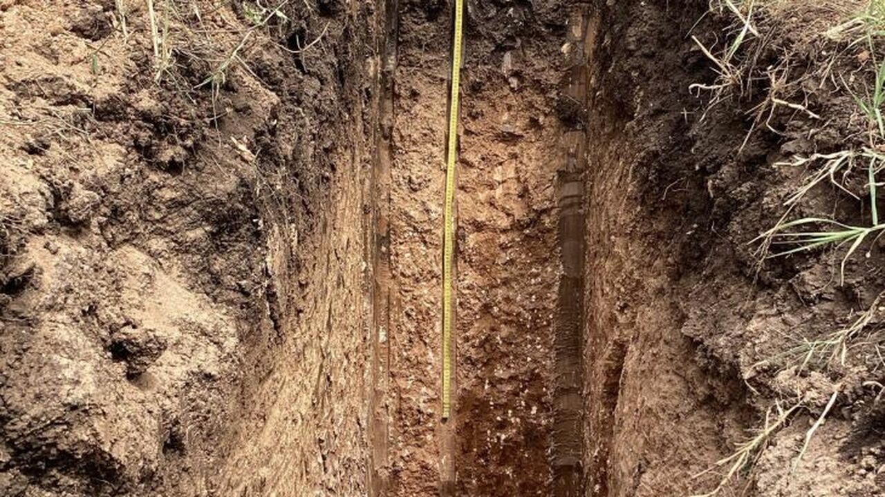 Учёные Крымского федерального университета имен...